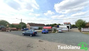 Service auto - Vinga