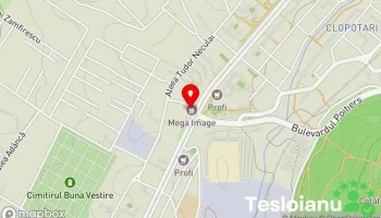 Service roti Nicolina Iași - vulcanizare, unghiuri, direcție, geometrie,service roți, schimb ulei - Iași 700686