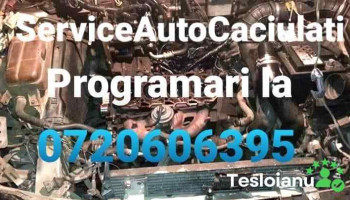 ServiceAutoCaciulati - Căciulați 077130