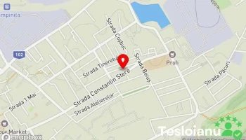 Servis auto - Câmpina 105600