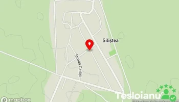 Siliștea - Siliștea