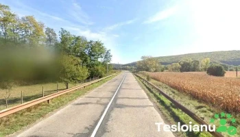 Spălătorie Auto - Dolheștii Mari
