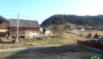 Stânceni - Stânceni