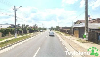 Stancioaca Viorel - Service auto - Gura Vitioarei 106400