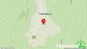 Sub Pădure - Sub Pădure