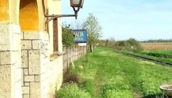 Săbișa - Săbișa