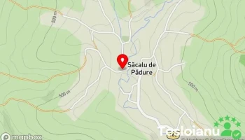 Săcalu de Pădure - Săcalu De Pădure