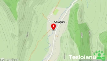 Sălașuri - Sălașuri