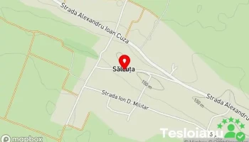 Sălcuţa - Sălcuţa