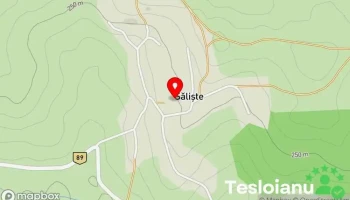 Sălişte - Sălişte