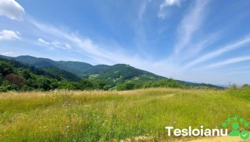 Săliștea de sus - Săliștea De Sus