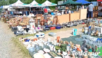 Targul de la Fechetau - Negreni