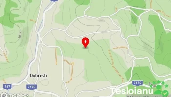 Tiriteu Auto Srl - Bihor 417240