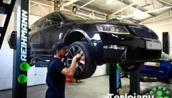 Top Gear Garage - Service auto - Giroc 307220