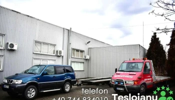 Tractari Auto Arad - Arad 310264