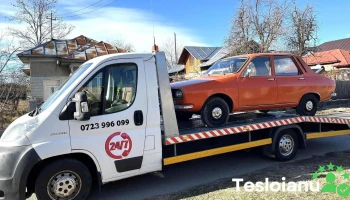 Tractări auto Dambovita - Târgoviște 132204