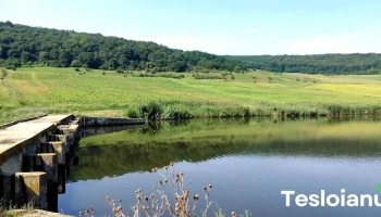 Tău - Tău