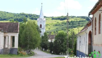 Uila - Uila