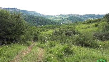 Umbrărești - Umbrărești