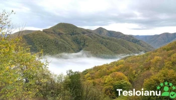 Un colț de rai , in Cugir - Cugir