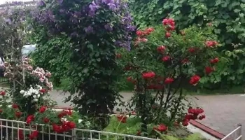 Unirea - Romania
