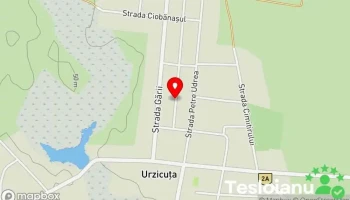 Urzicuța - Urzicuța