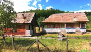 Vaideiu - Vaideiu