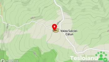 Valea Salciei-Cătun - Valea Salciei-Cătun