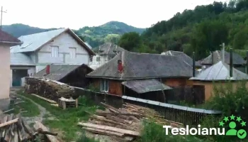 Valea Stejarului - Valea Stejarului
