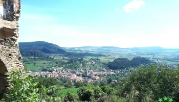 Vânători - Vânători