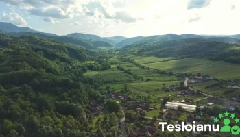 Vața de Jos - Vața De Jos