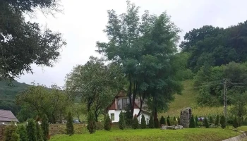 Vețca - Vețca