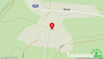 Vicea - Vicea