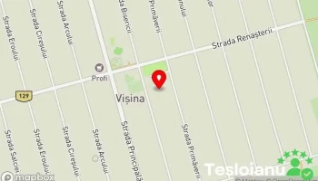 Vișina - Vișina