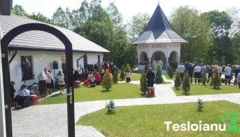 Voitinel - Ipotești