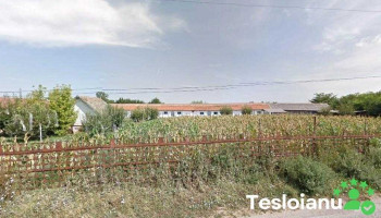 Vulcanizarea Jianu - Băilești