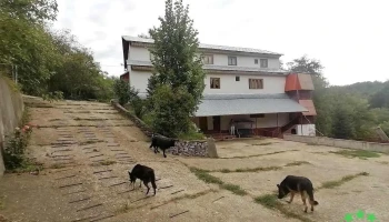Vulcăneasa - Vulcăneasa