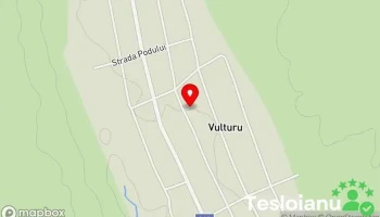Vulturu - Vulturu