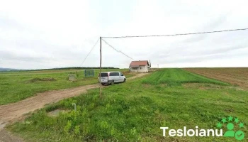 Văcuța liteni - Liteni