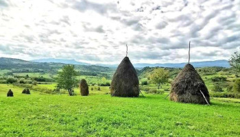 Văleni - Văleni