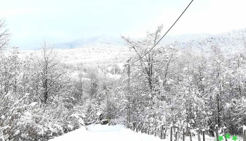 Vătava - Vătava