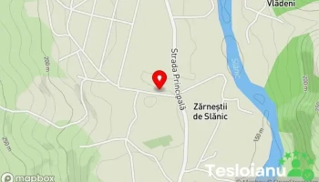 Zărneștii de Slănic - Zărneștii De Slănic