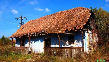 Șapartoc - Șapartoc