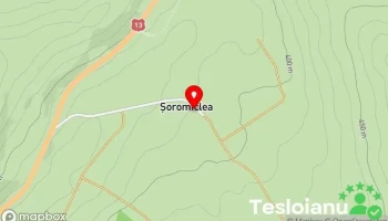 Șoromiclea - Șoromiclea