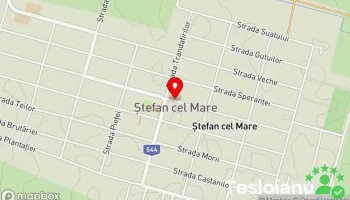 Ștefan cel Mare - Ștefan Cel Mare