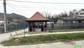 Ștefănești - Ștefănești