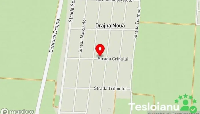 A.f. Enache Gheorghiţa - Drajna Nouă