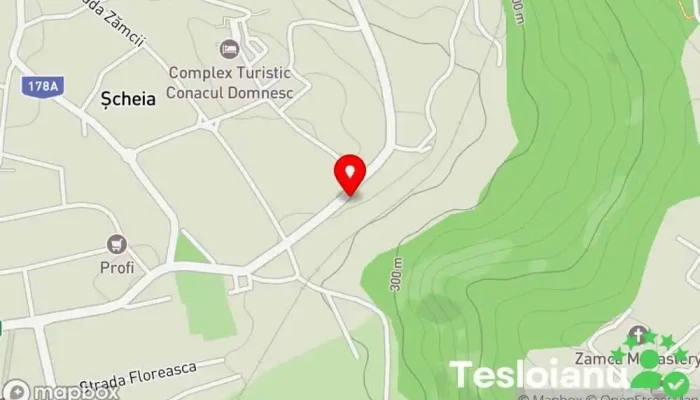 hartă a A-Z Auto Service & I.T.P. Partener Castrol Service auto în Șcheia