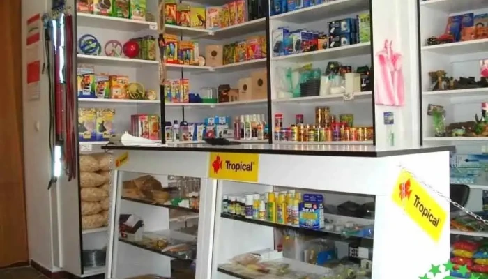 Acvaristica Pet Shop Interior - Sighetu Marmației