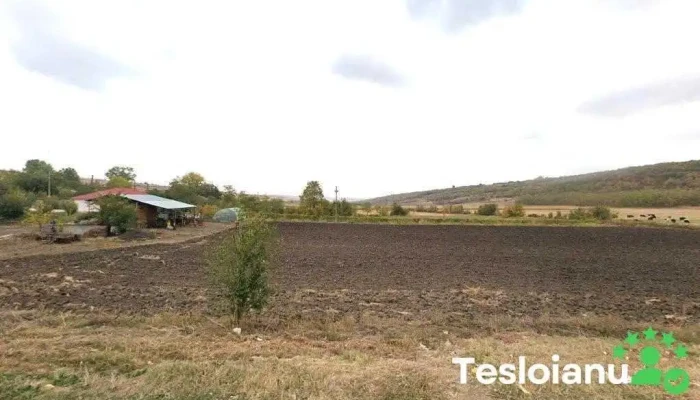 Agroservice Craiesti Srl - România